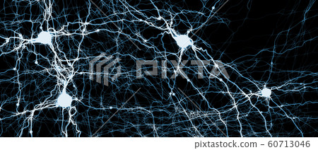 Signal transmitting neurons or nerve cells 60713046
