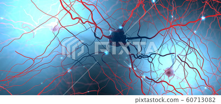 Signal transmitting neurons or nerve cells 60713082