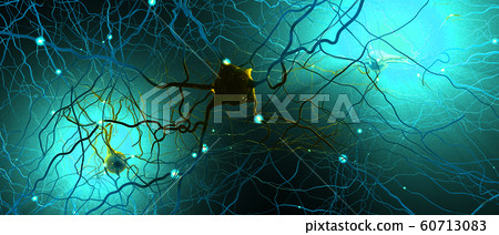 Signal transmitting neurons or nerve cells 60713083