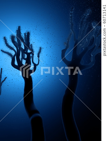 Microscopic view on growing molds or mold fungus Microscopic view on growing molds or mold fungus 60713141