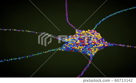 Multicolored single nerve cell or neuron Multicolored single nerve cell or neuron 60713142