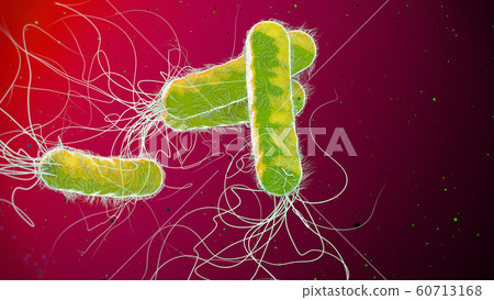Antibiotic resistant Pseudomonas bacterium Antibiotic resistant Pseudomonas bacterium 60713168