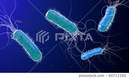 Antibiotic resistant Pseudomonas bacterium  60713169