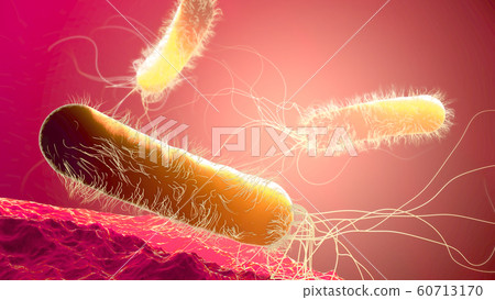 Antibiotic resistant Pseudomonas bacterium Antibiotic resistant Pseudomonas bacterium 60713170