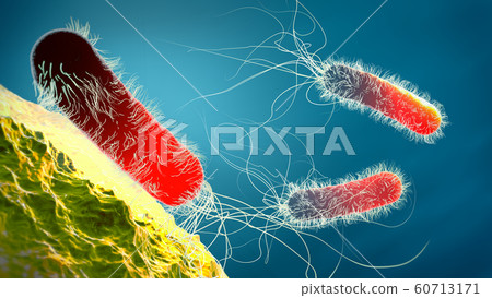 Antibiotic resistant Pseudomonas bacterium Antibiotic resistant Pseudomonas bacterium 60713171