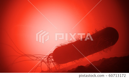 Antibiotic resistant Pseudomonas bacterium Antibiotic resistant Pseudomonas bacterium 60713172