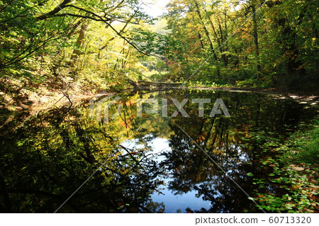 Autumn of Hakkoda 60713320