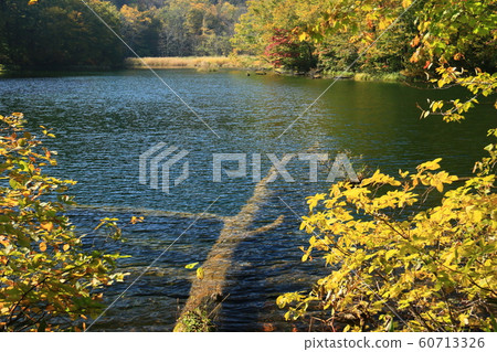 Autumn of Hakkoda 60713326