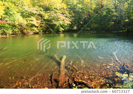 Autumn of Hakkoda Autumn of Hakkoda 60713327