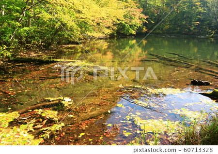 Autumn of Hakkoda 60713328