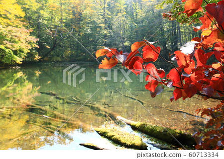 Autumn of Hakkoda 60713334