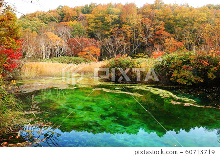 Hakkoda Autumn (Tashirohira Marsh) Mysterious Ryujinuma Hakkoda Autumn (Tashirohira Marsh) Mysterious Ryujinuma 60713719