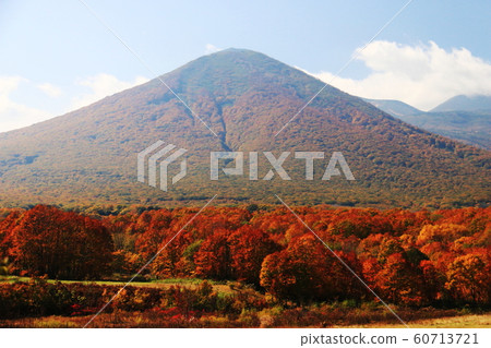 Hakkoda Autumn (Ota Takada from Tashiro Farm) 60713721