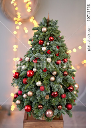 Beautiful small Christmas tree on wooden table. Happy mood. Garland lamp bokeh on background. Wallpaper. Danish pine and fir, Nobilis Beautiful small Christmas tree on wooden table. Happy mood. Garland lamp bokeh on background. Wallpaper. Danish pine and fir, Nobilis 60713768