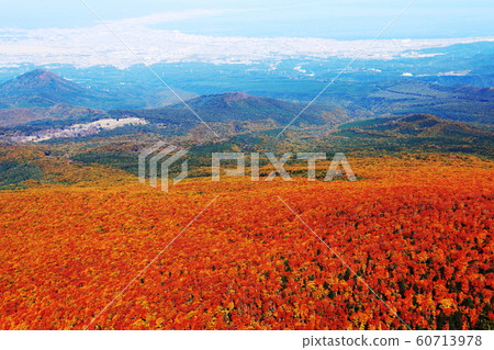 Autumn leaves of Mt. Hakkoda 60713978