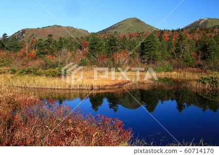 八甲田山的秋天 八甲田山的秋天 60714170