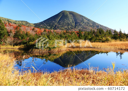 八甲田秋天，睡蓮沼澤和高田大竹 60714172