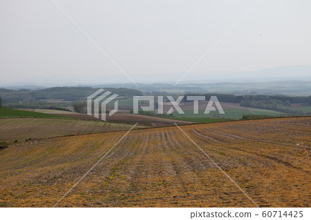Hilly countryside 60714425