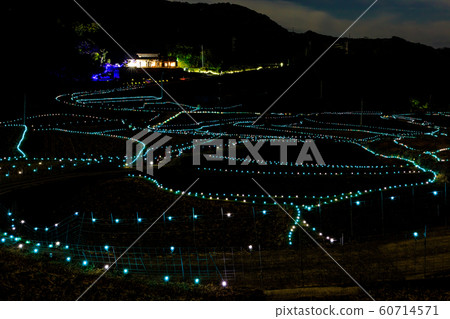 Kasuga terraced rice field light up [Hirado City, Nagasaki Prefecture] 60714571