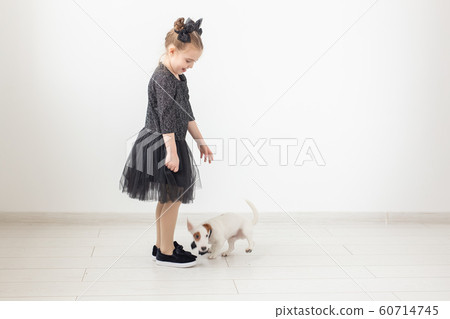 Pets and animal concept - Child girl playing with puppy Jack Russell Terrier. 60714745