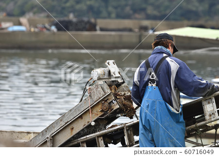 Oyster landing Oyster landing 60716049