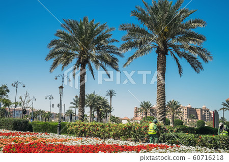 Central district of the Pearl in Doha, Qatar Central district of the Pearl in Doha, Qatar 60716218