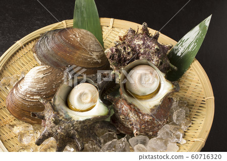 Grilled (turban shell) Japanese food Grilled (turban shell) Japanese food 60716320