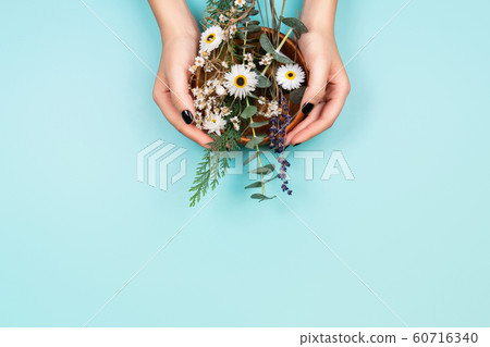 Hands with herbs Hands with herbs 60716340
