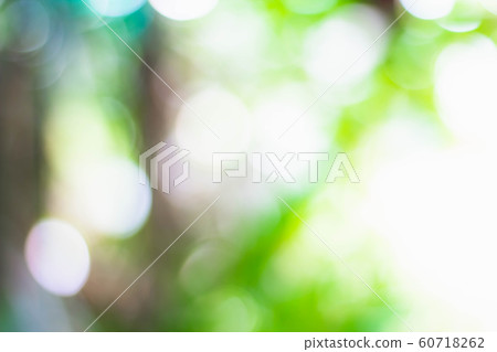 Abstract nature green bokeh background. Blurred for background. 60718262
