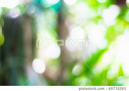 Abstract nature green bokeh background. Blurred for background. 60718263