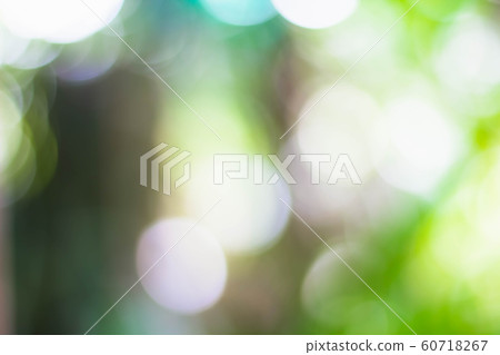 Abstract nature green bokeh background. Blurred for background. 60718267