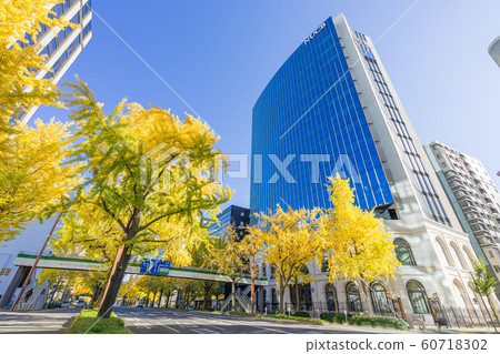 Nagoya city scenery Sakuradori Ginkgo Namiki Nagoya University of Commerce NUCB 60718302
