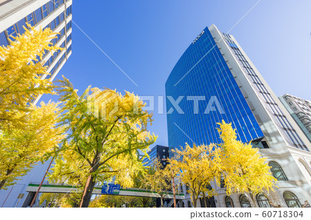 名古屋市風景Sakuradori Ginkgo Namiki名古屋商業大學NUCB 名古屋市風景Sakuradori Ginkgo Namiki名古屋商業大學NUCB 60718304