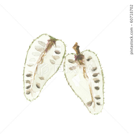 肉汁光環 60718702