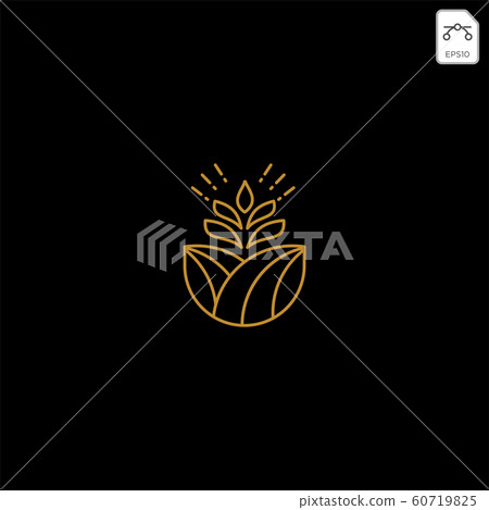 gold agriculture farm line badge vintage logo 60719825