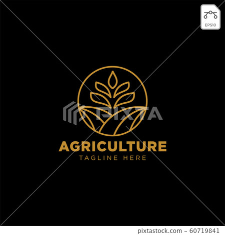 gold agriculture farm line badge vintage logo gold agriculture farm line badge vintage logo 60719841
