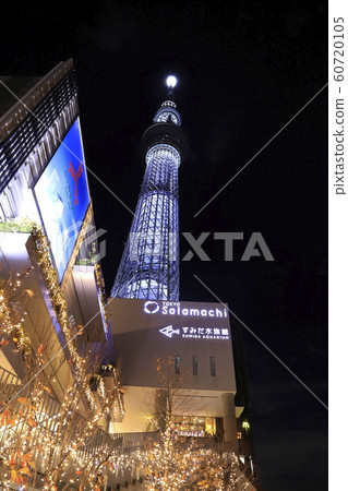 Tokyo Sky Tree Light Up and Sumida Aquarium 60720105