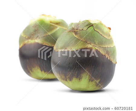 Asian Palmyra palm, fruit an isolated on white Asian Palmyra palm, fruit an isolated on white 60720181