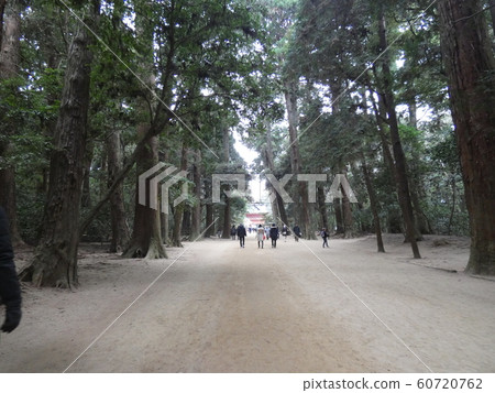 神社 神社 60720762
