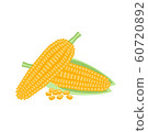 Corn vector illustration design. Corn isolated on 60720892