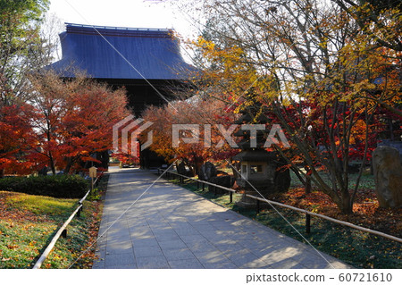 12月世田谷區114少年郎和光陽佛Joshinji寺 12月世田谷區114少年郎和光陽佛Joshinji寺 60721610