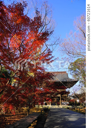 十二月世田谷110春郎和秋天的落葉 十二月世田谷110春郎和秋天的落葉 60721614