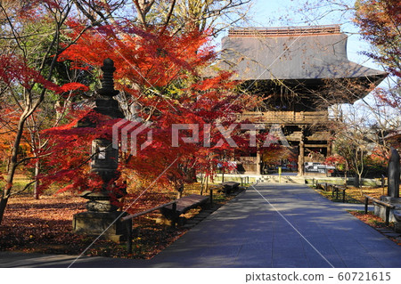 12月世田谷區109 Shiunro和秋葉 60721615