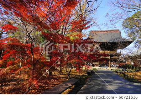 12月世田谷區108少年郎和光陽佛Joshinji寺 12月世田谷區108少年郎和光陽佛Joshinji寺 60721616