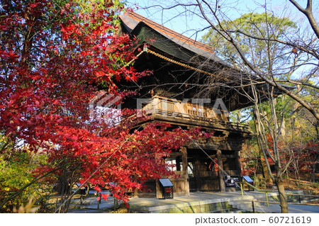 十二月世田谷區105 Shiunro和秋葉 十二月世田谷區105 Shiunro和秋葉 60721619