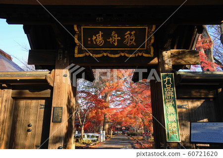 十二月世田谷104 Ku信佛淨心寺門和秋葉 十二月世田谷104 Ku信佛淨心寺門和秋葉 60721620
