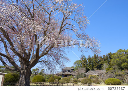 Mito City Kairakuen and Yoshibuntei 60722687