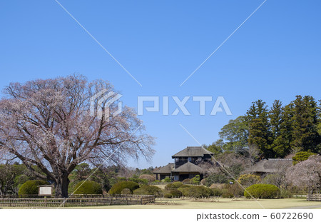 Mito City Kairakuen and Yoshibuntei Mito City Kairakuen and Yoshibuntei 60722690