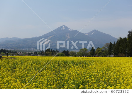 強姦花朵和Emeizan盛開 60723552