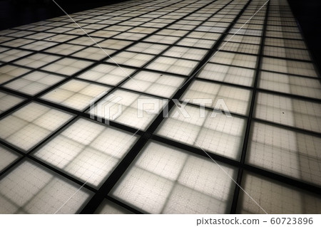 Light carpet 60723896